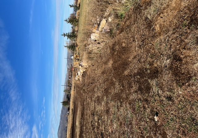 A view of a field with a dirt road in the background.